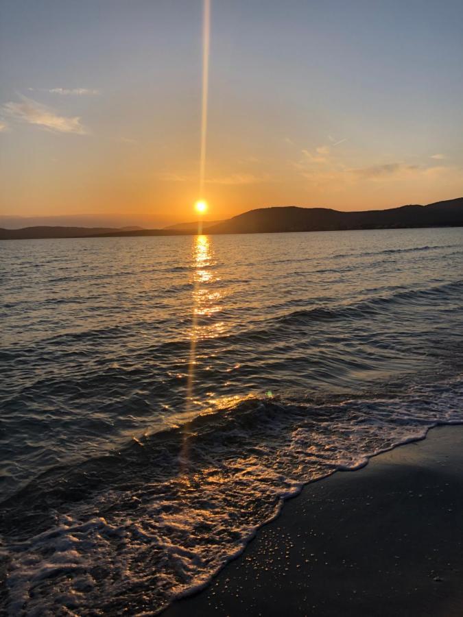 Apartament Coral Dream Alghero Zewnętrze zdjęcie