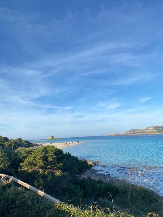 Apartament Coral Dream Alghero Zewnętrze zdjęcie